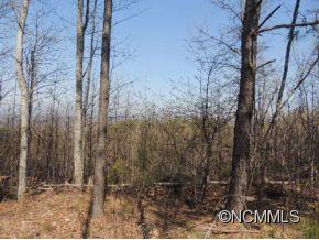 154 West W Ridge Bostic, NC 28018 - Photo 3 of 3