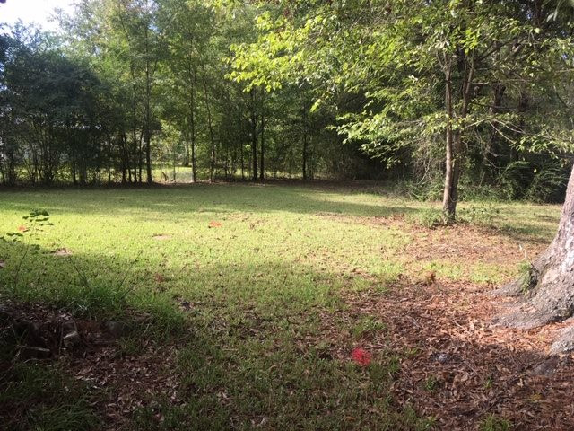 2632 Old Brandon Road Pearl, MS 39208 - Photo 2 of 3 Photo 2