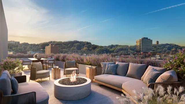 a view of a patio with couches chairs and a potted plant