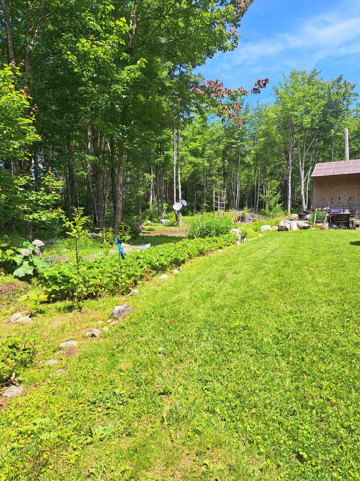 776 East Side Road Addison, ME 04606 - Photo 4 of 18 448939425_1008593003989357_5136361575610