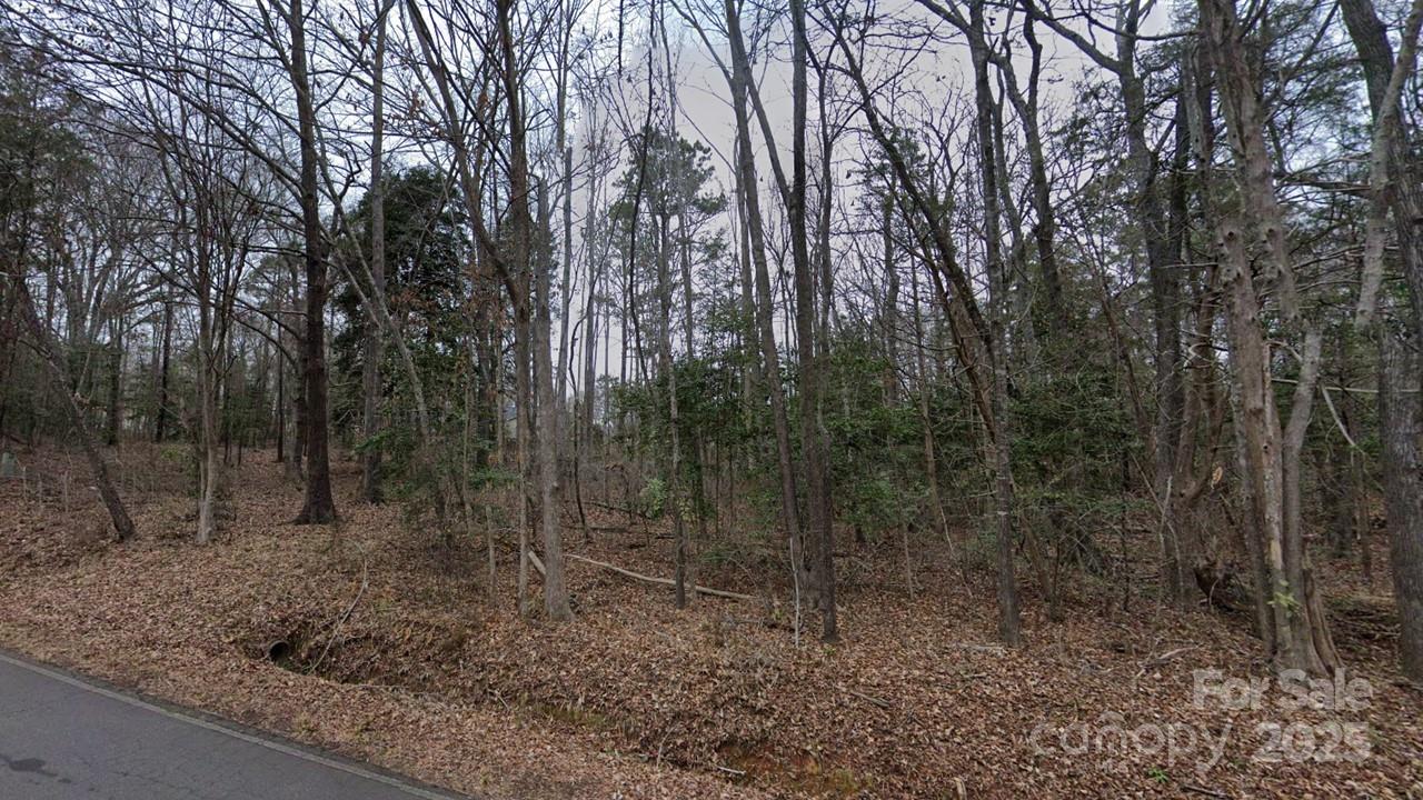 0 Jackson Road, Unit 86/87/61/62/63 Fort Lawn, SC 29714 - Photo 2 of 5 a view of a forest filled with trees