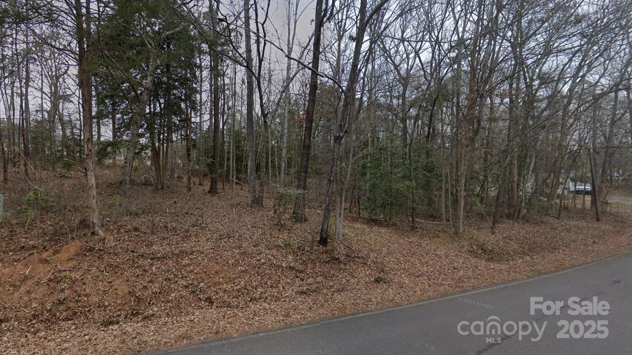 0 Jackson Road, Unit 86/87/61/62/63 Fort Lawn, SC 29714 - Photo 3 of 5 a view of a forest with trees in the background