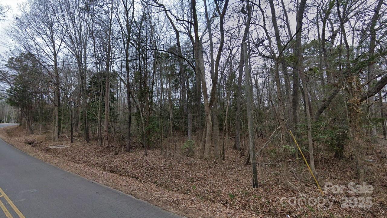 0 Jackson Road, Unit 86/87/61/62/63 Fort Lawn, SC 29714 - Photo 4 of 5 a view of a forest filled with trees