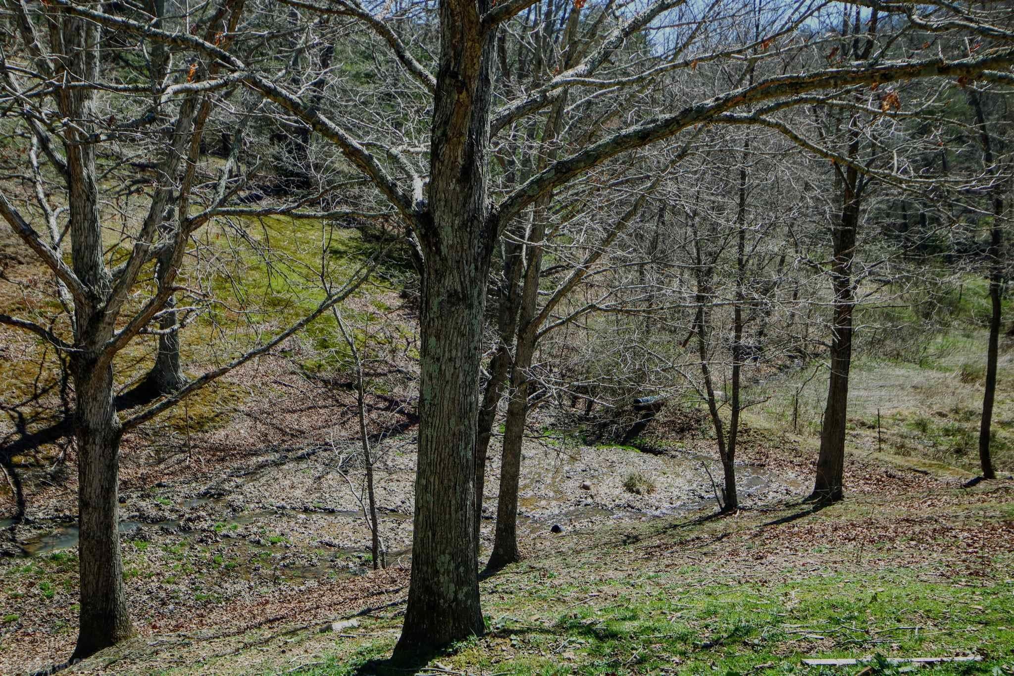 4907 Norris Run Road Blacksburg, VA 24060 - Photo 21 of 31 Gallery Image 21