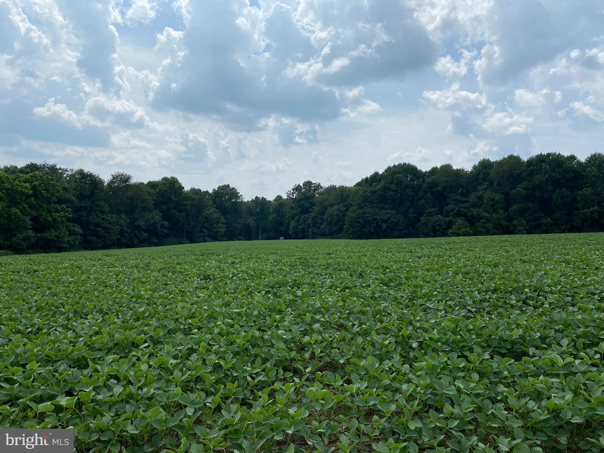Ailes Road Delta, PA 17314 - Photo 26 of 33 Gallery Image 26