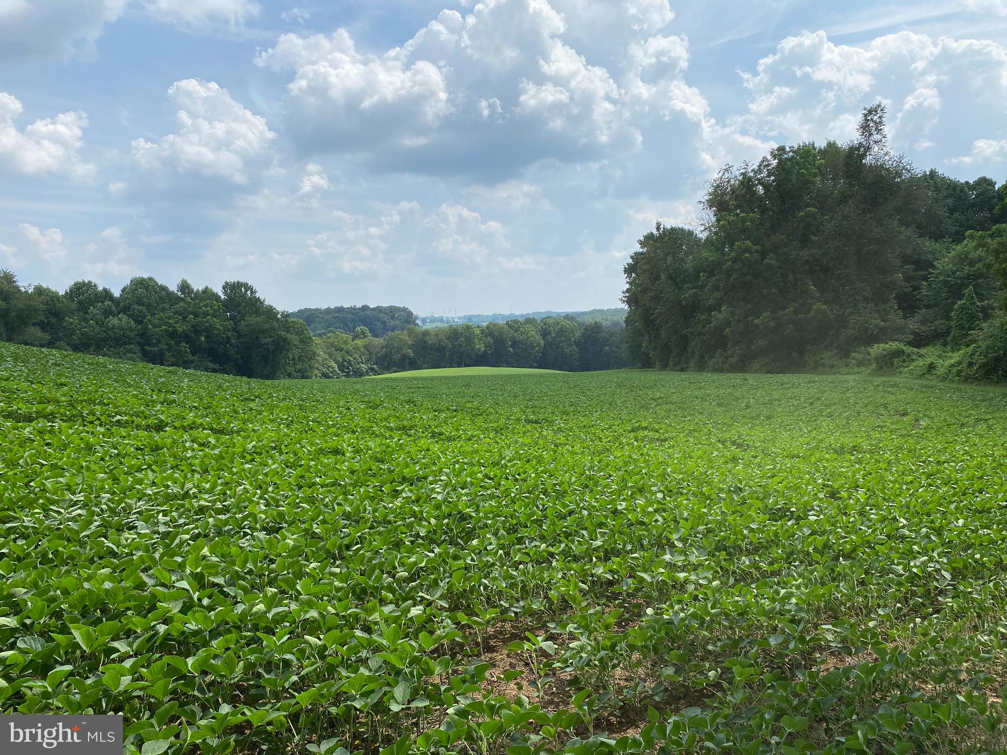 Ailes Road Delta, PA 17314 - Photo 29 of 33 Gallery Image 29