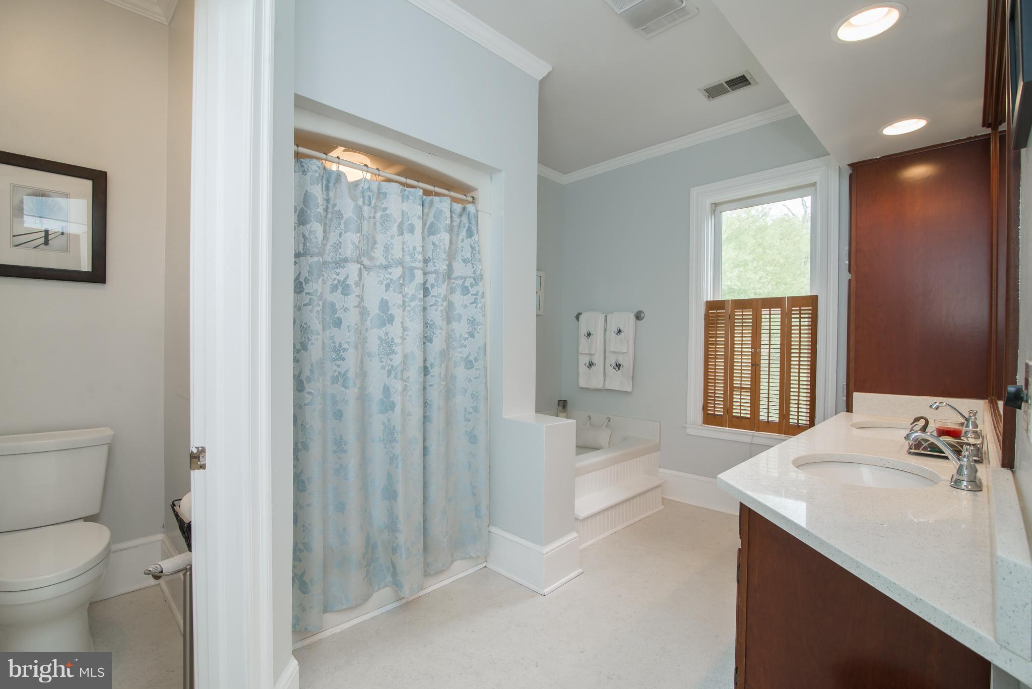 4810 Scrabble Road Shepherdstown, WV 25443 - Photo 23 of 30 Bath (Master)