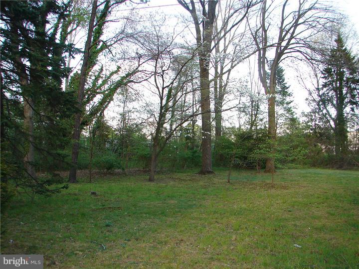 769 Chews Landing Road Clementon, NJ 08021 - Photo 3 of 8