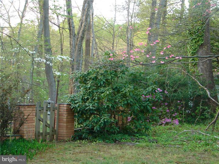 769 Chews Landing Road Clementon, NJ 08021 - Photo 6 of 8