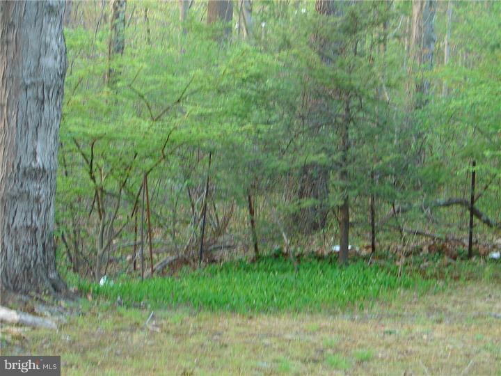 769 Chews Landing Road Clementon, NJ 08021 - Photo 7 of 8