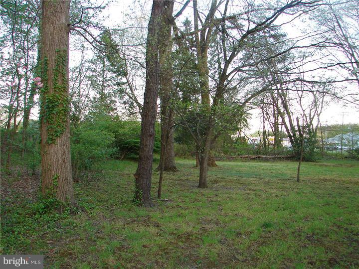 769 Chews Landing Road Clementon, NJ 08021 - Photo 8 of 8