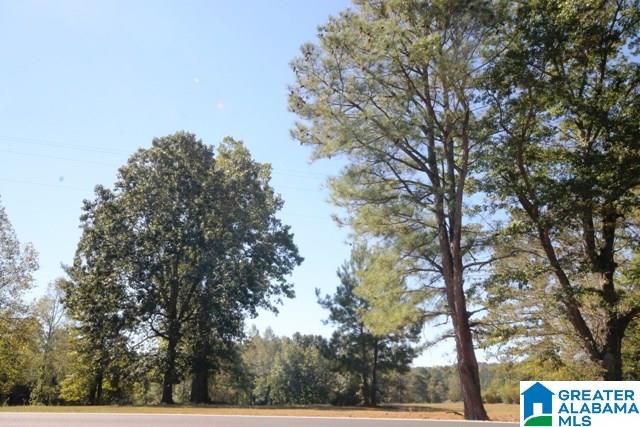 0 County Road 928, Unit 19 Delta, AL 36258 - Photo 29 of 43