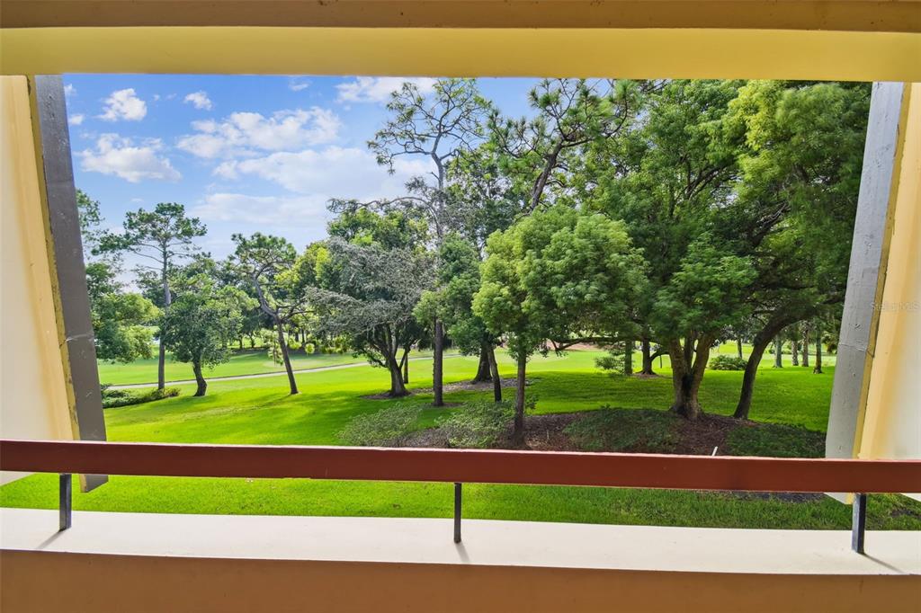 36750 Highway 19, Unit 23213 Palm Harbor, FL 34684 - Photo 24 of 73 a view of a street with a park