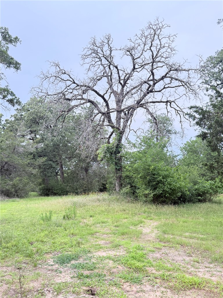 Tbd Wannabe Road Bryan, TX 77808 - Photo 21 of 42
