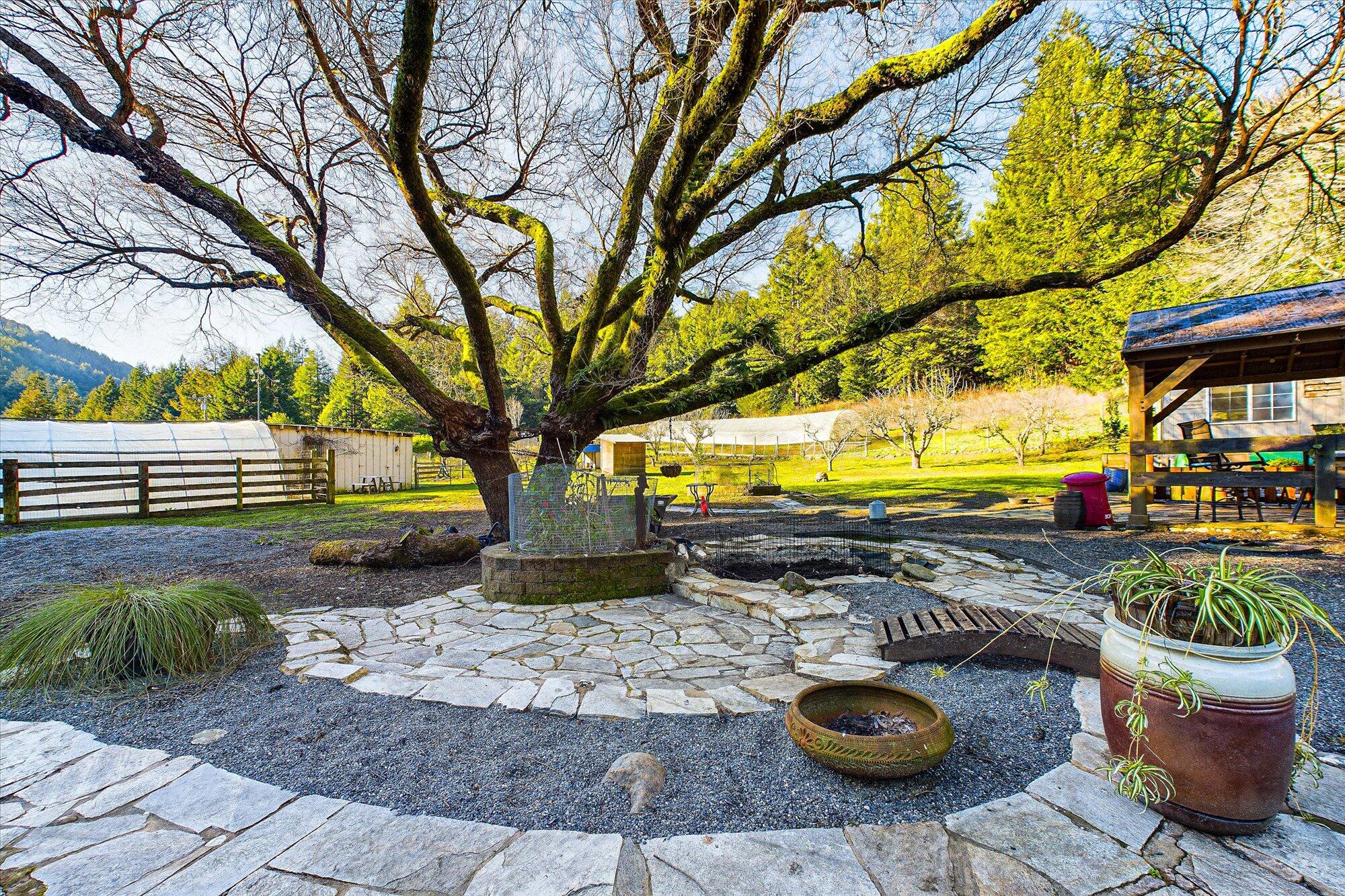 9557 Blue Slide Road Ferndale, CA 95536 - Photo 66 of 75 66-9557 Blue Slide-163