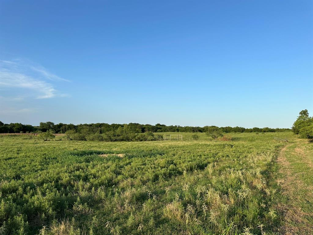 Tbd Rock Springs School Road Nocona, TX 76255 - Photo 23 of 24
