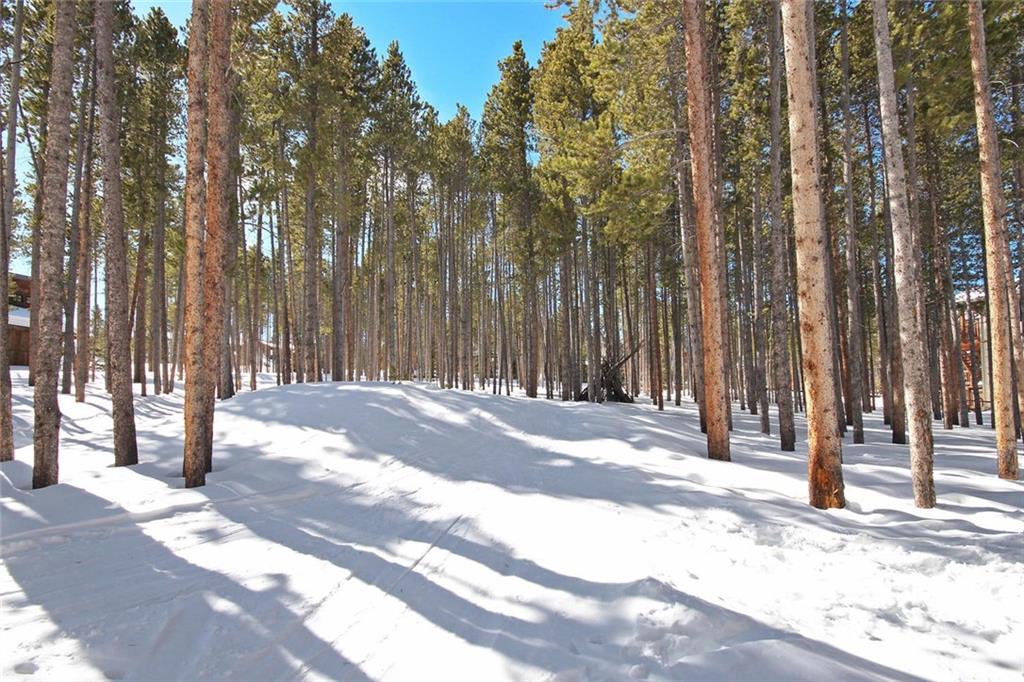 344 4 O'Clock Run Road Breckenridge, CO 80424 - Photo 3 of 15 Gallery Image 3