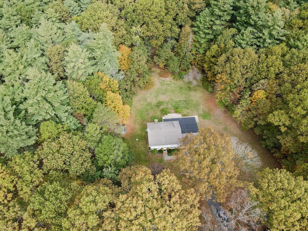 12 Hazen Road Shirley, MA 01464 - Photo 35 of 41 a view of a dry yard with large trees