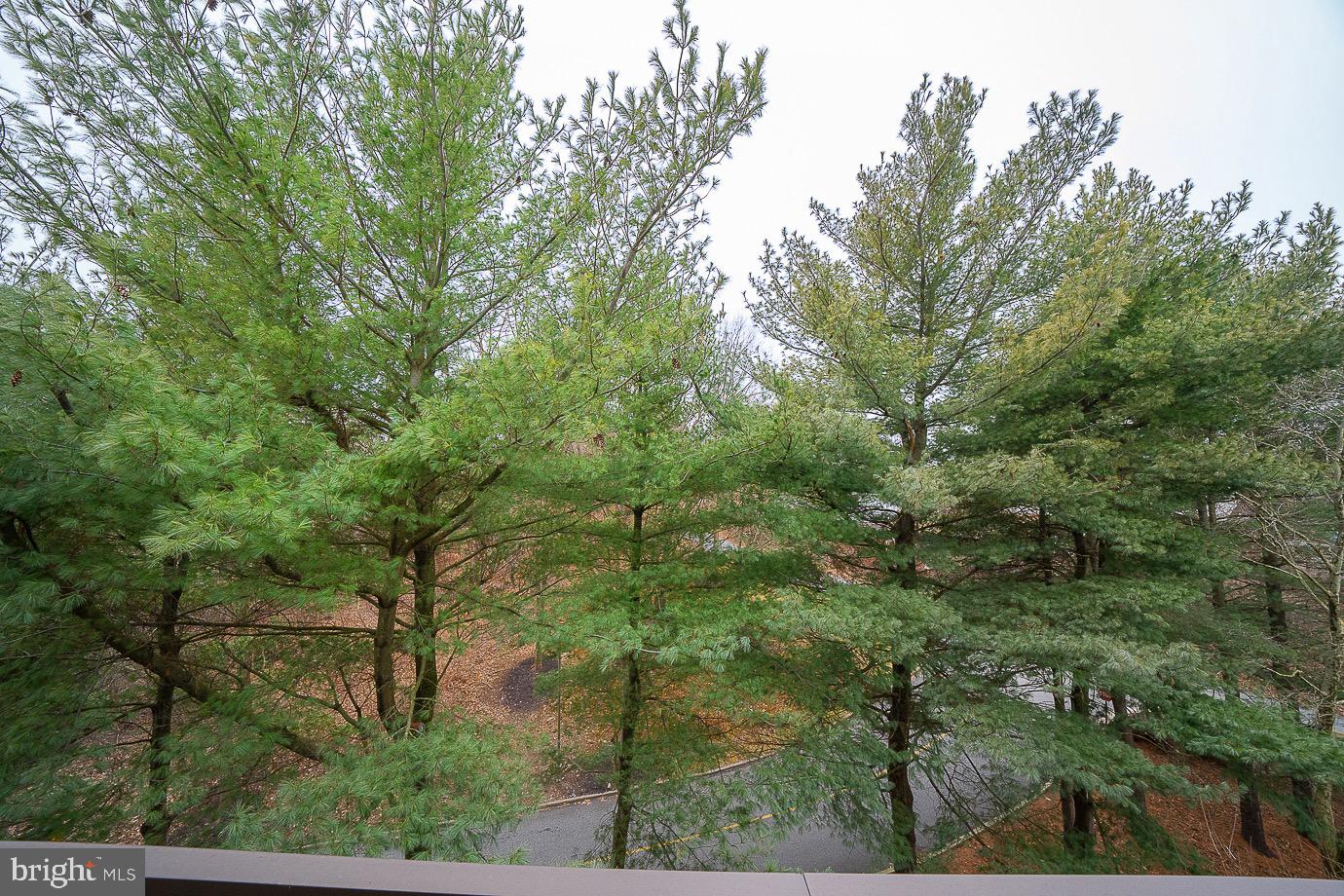700 Avondale Road, Unit PH2 Wallingford, PA 19086 - Photo 39 of 57 View from balcony