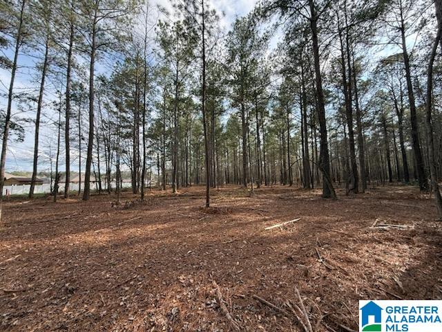 10 Club House Road, Unit 10 Sylacauga, AL 35150 - Photo 3 of 7