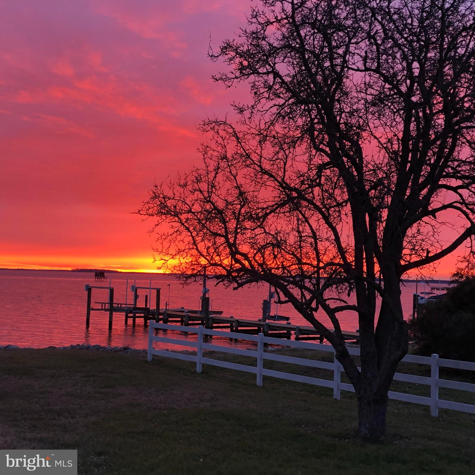 204 Queen Anne Road Stevensville, MD 21666 - Photo 42 of 48 Sunrise and Pier