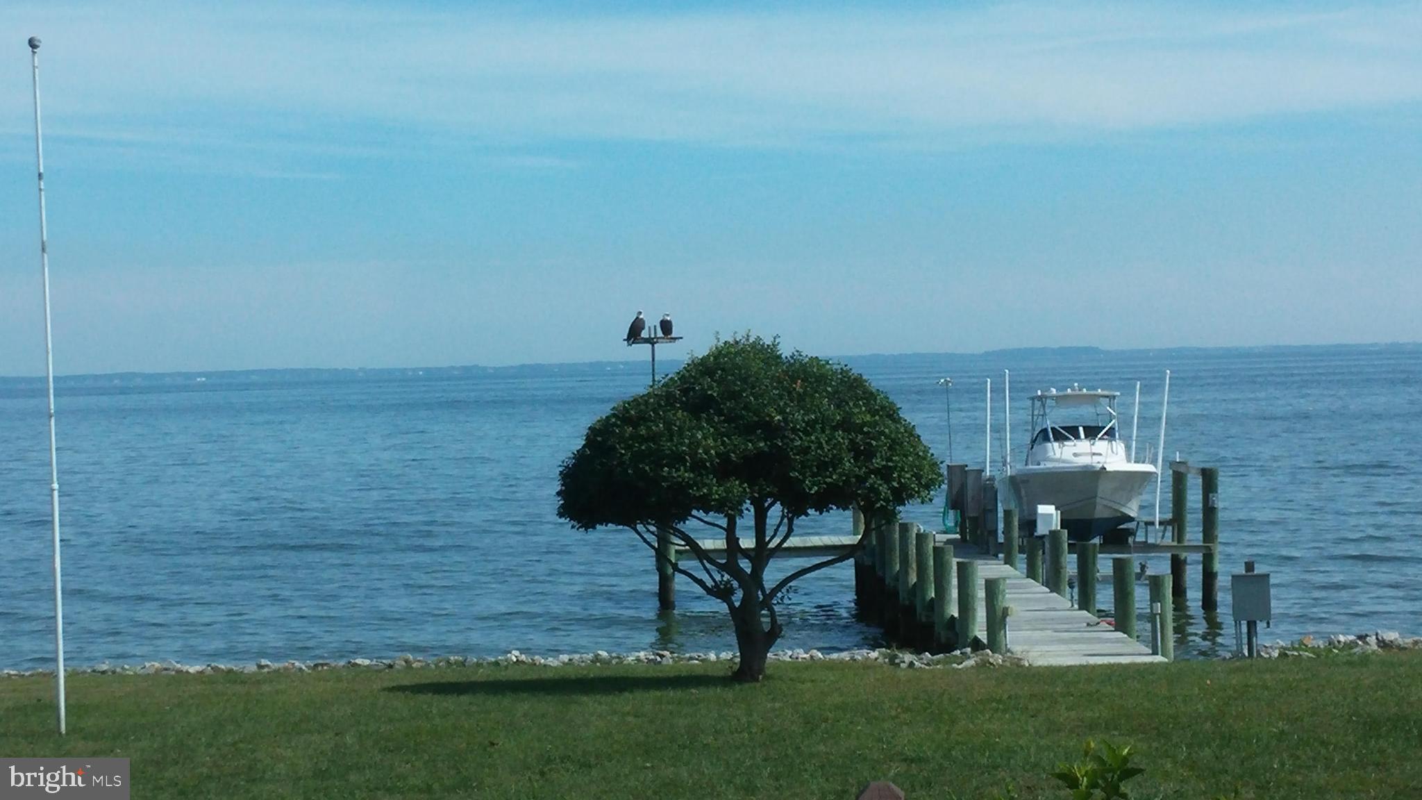 204 Queen Anne Road Stevensville, MD 21666 - Photo 48 of 48 Pier, boat lift, view and eagles sitting on pole