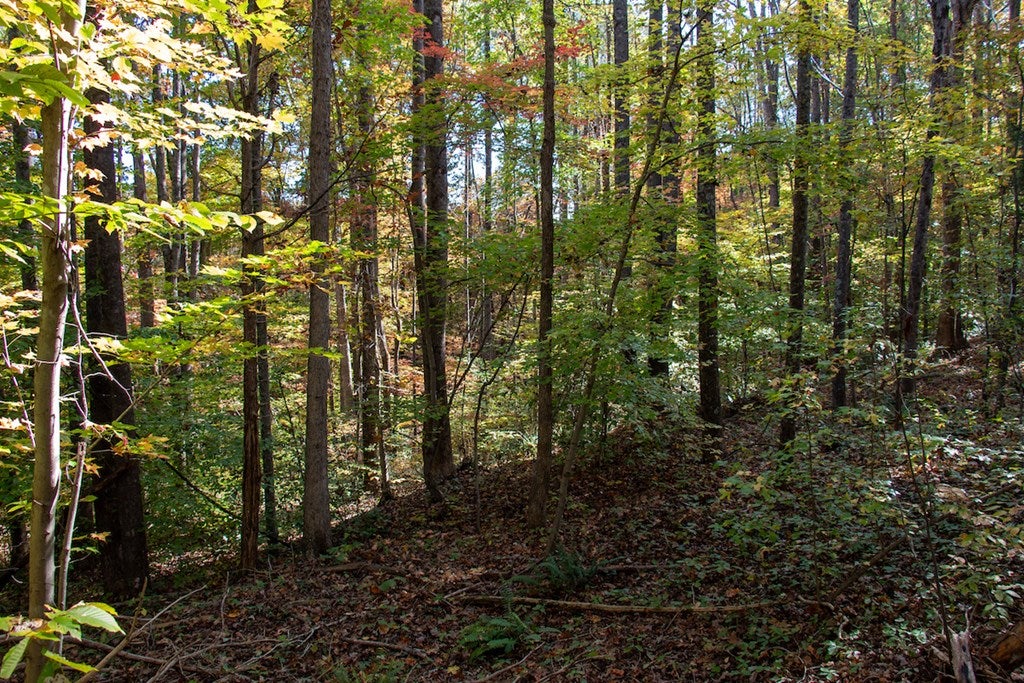 Yeatts Store Road Java, VA 24565 - Photo 9 of 27 Gallery Image 9