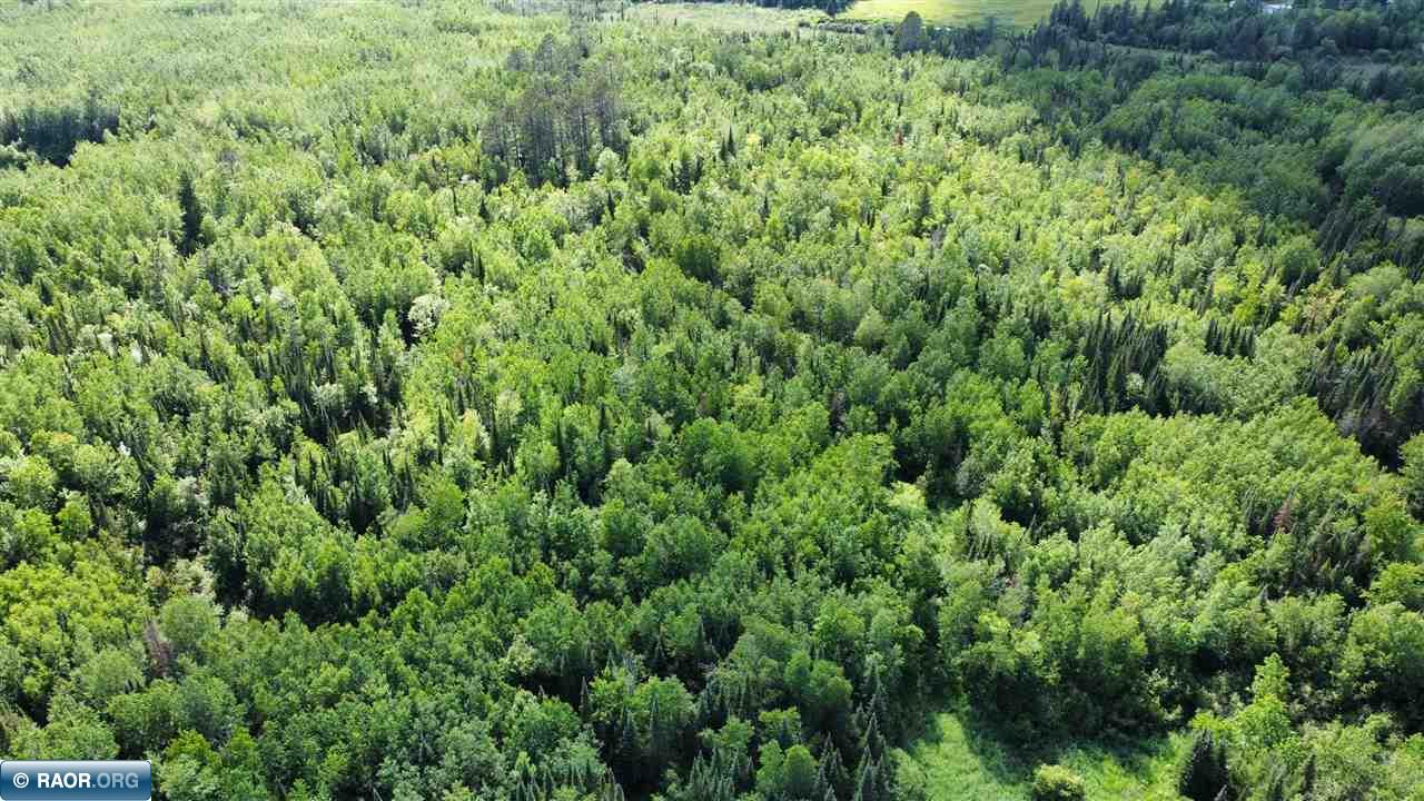 Tbd South Salmi Road Hibbing, MN 55746 - Photo 10 of 36 Gallery Image 10