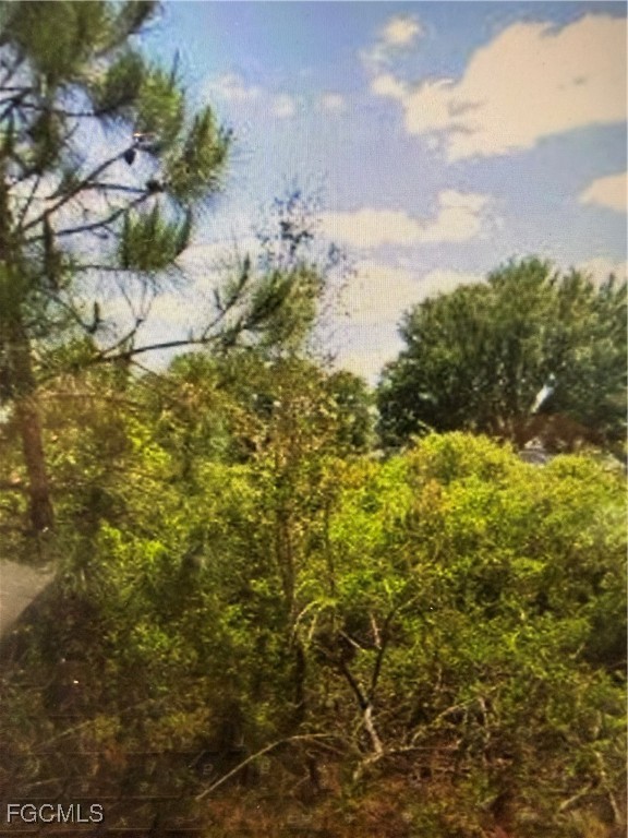 3009 54th Street West Lehigh Acres, FL 33971 - Photo 2 of 2