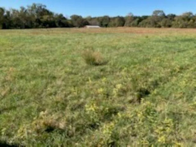 $239,500 | 0 Cudd Road, Chesnee, SC 29323