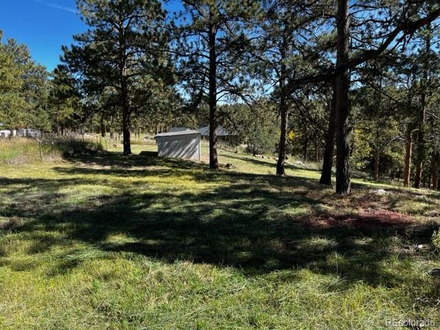 201 Bluebird Drive Bailey, CO 80421 - Photo 38 of 45 a view of outdoor space with deck and green space