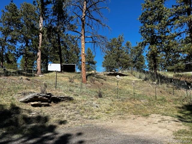 201 Bluebird Drive Bailey, CO 80421 - Photo 39 of 45 a view of yard with trees