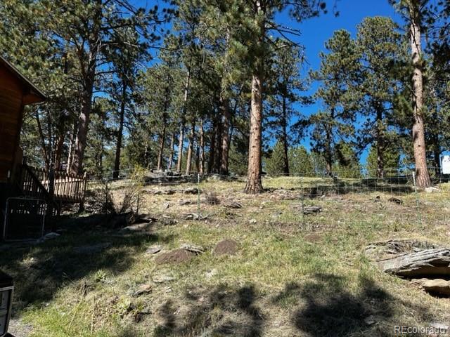 201 Bluebird Drive Bailey, CO 80421 - Photo 40 of 45 a view of outdoor space with trees