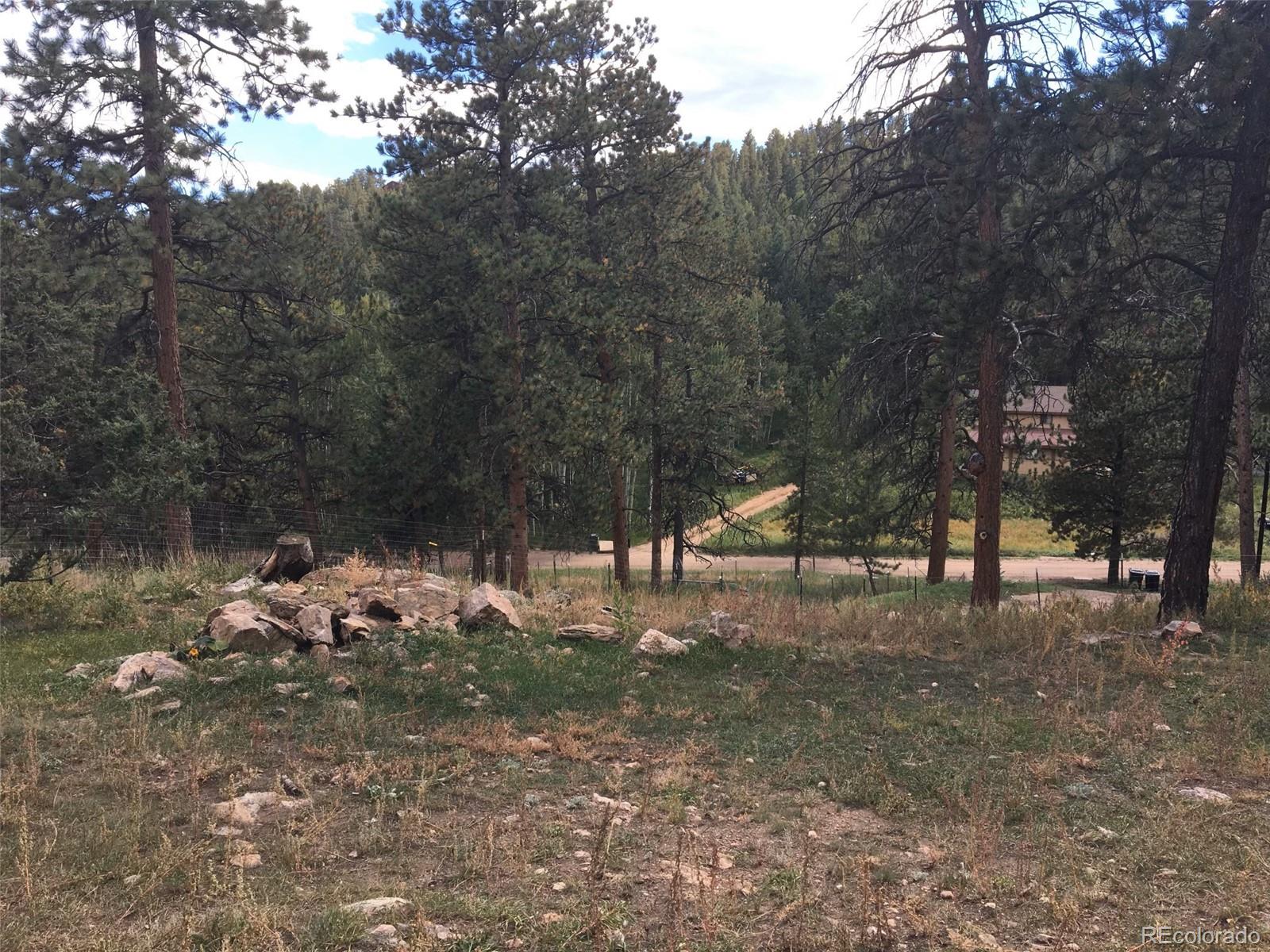 201 Bluebird Drive Bailey, CO 80421 - Photo 41 of 45 a backyard of a house with lots of green space