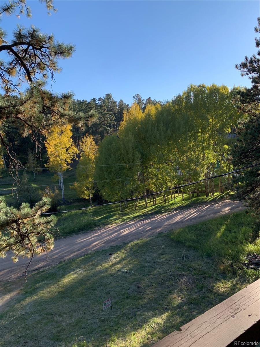 201 Bluebird Drive Bailey, CO 80421 - Photo 6 of 45 a view of a yard with a tree