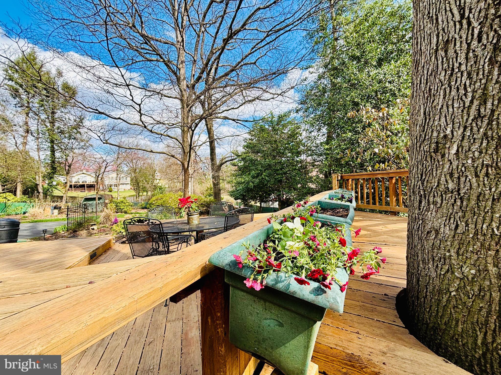 2405 Barbour Road Falls Church, VA 22043 - Photo 60 of 68