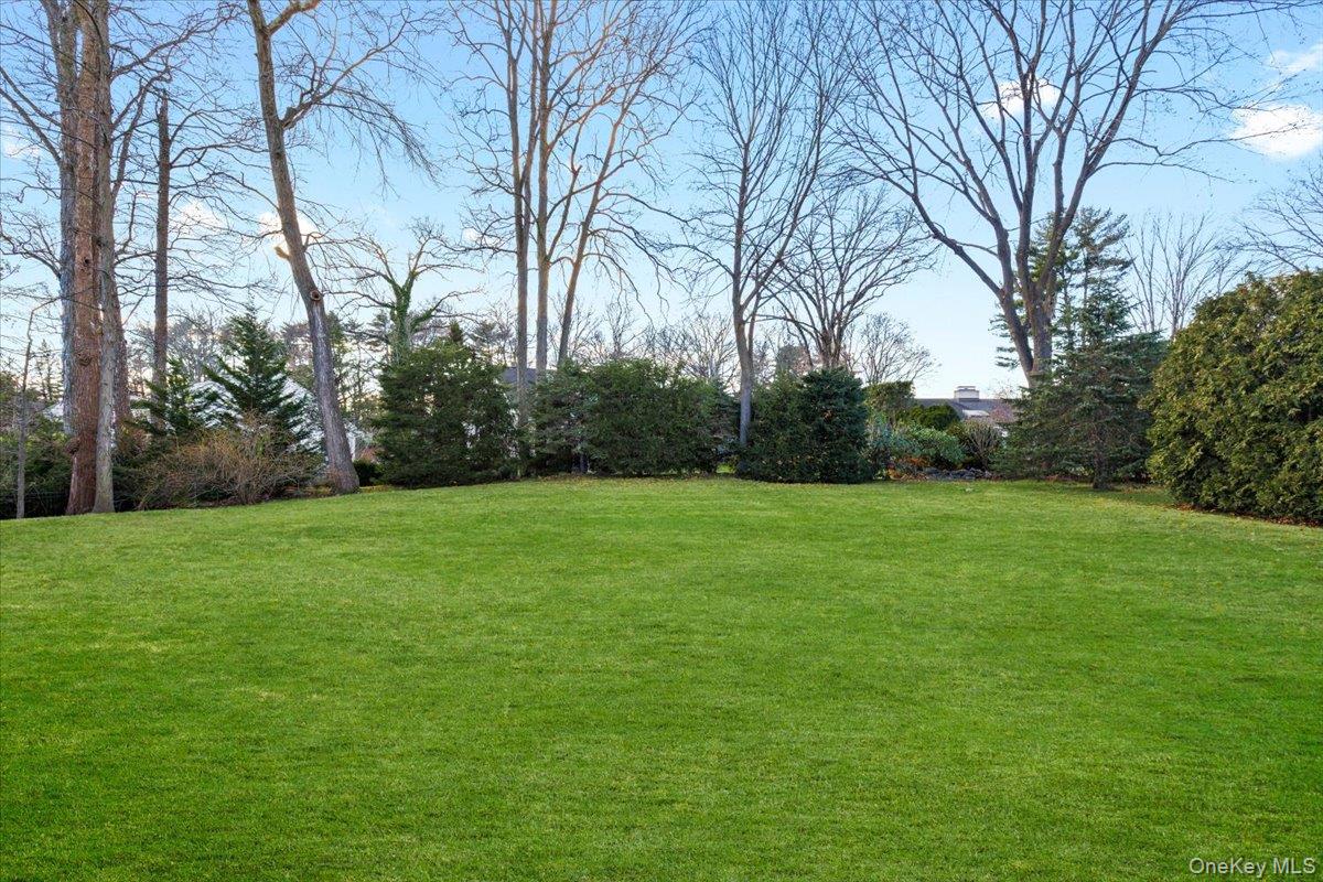 22 Old Orchard Road Rye Brook, NY 10573 - Photo 25 of 30 Large back yard