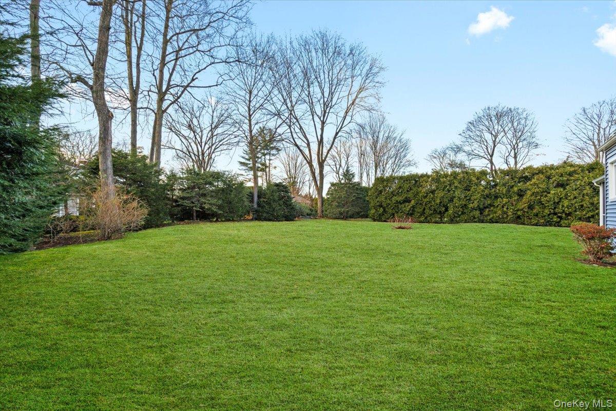 22 Old Orchard Road Rye Brook, NY 10573 - Photo 26 of 30 Large private back yard