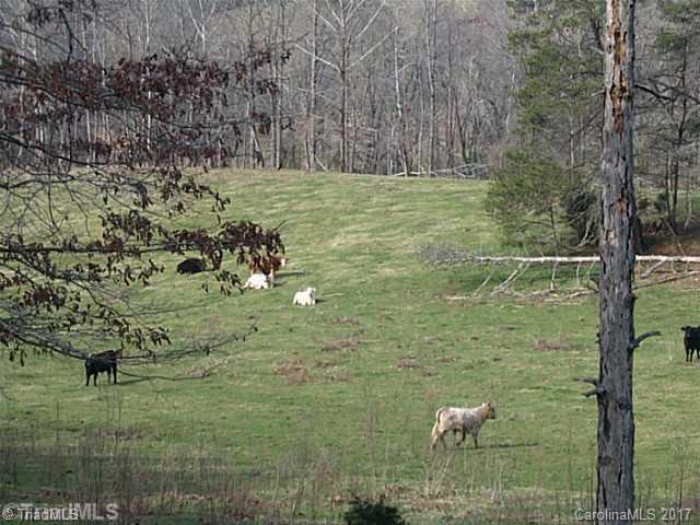 0 River Road, Unit 30 Boonville, NC 27011 - Photo 16 of 23 Gallery Image 16