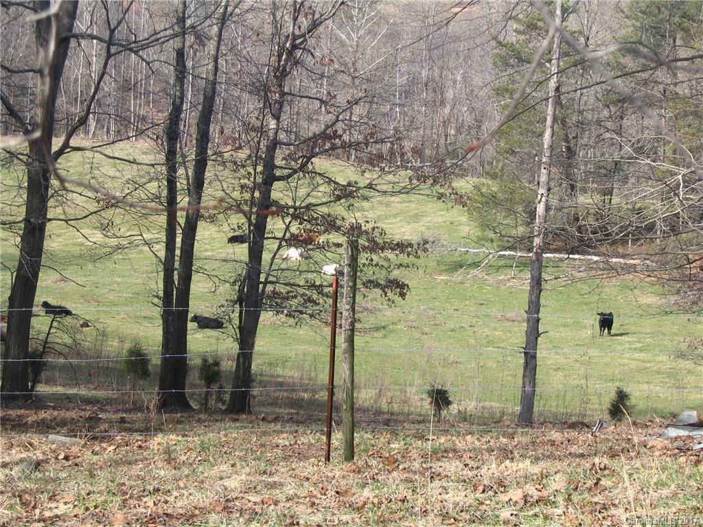 0 River Road, Unit 30 Boonville, NC 27011 - Photo 6 of 23 Gallery Image 6