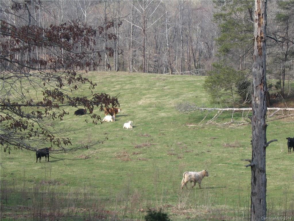 0 River Road, Unit 30 Boonville, NC 27011 - Photo 7 of 23 Gallery Image 7