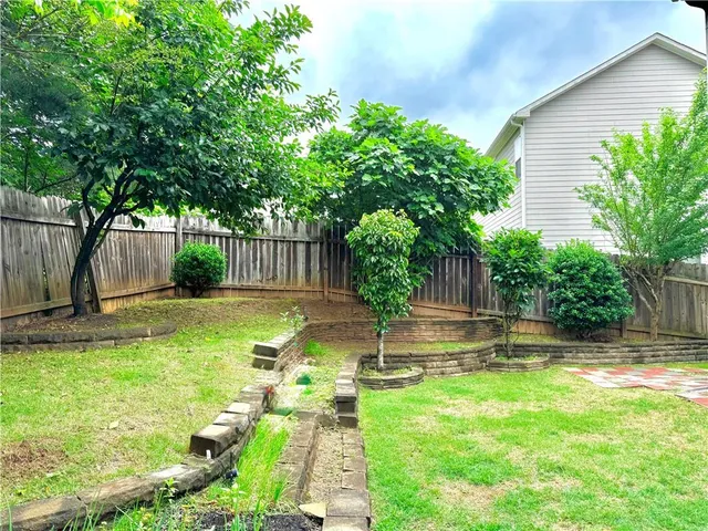 a view of a backyard with a tree