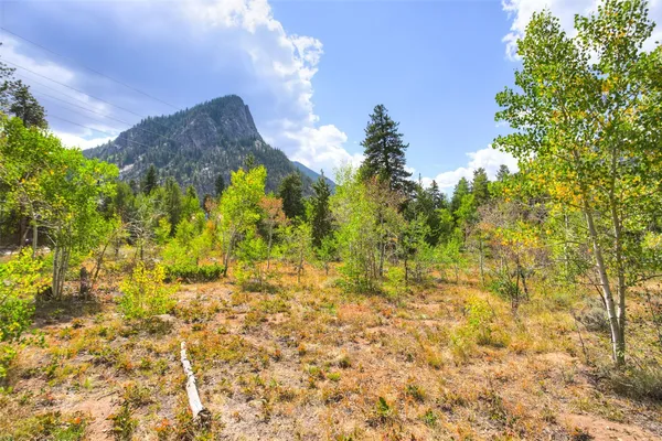 a view of a lake in middle of forest
