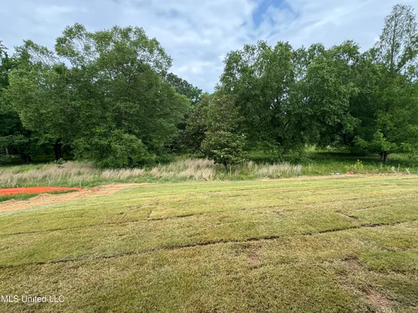 $343,700 | 4275 Olivia Circle West, Olive Branch, MS 38654