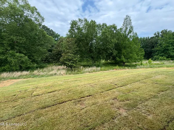 $343,700 | 4275 Olivia Circle West, Olive Branch, MS 38654