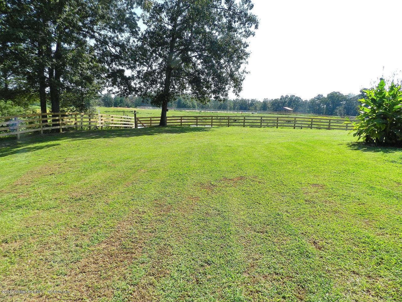 2259 Tommy Robinson Road Jasper, AL 35504 - Photo 31 of 37 Gallery Image 31