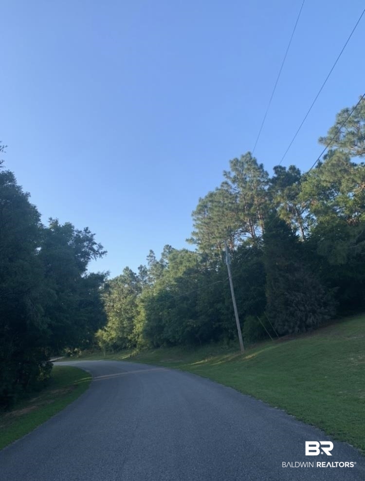 Lot 38 Erin Pond Road Seminole, AL 36574 - Photo 13 of 15