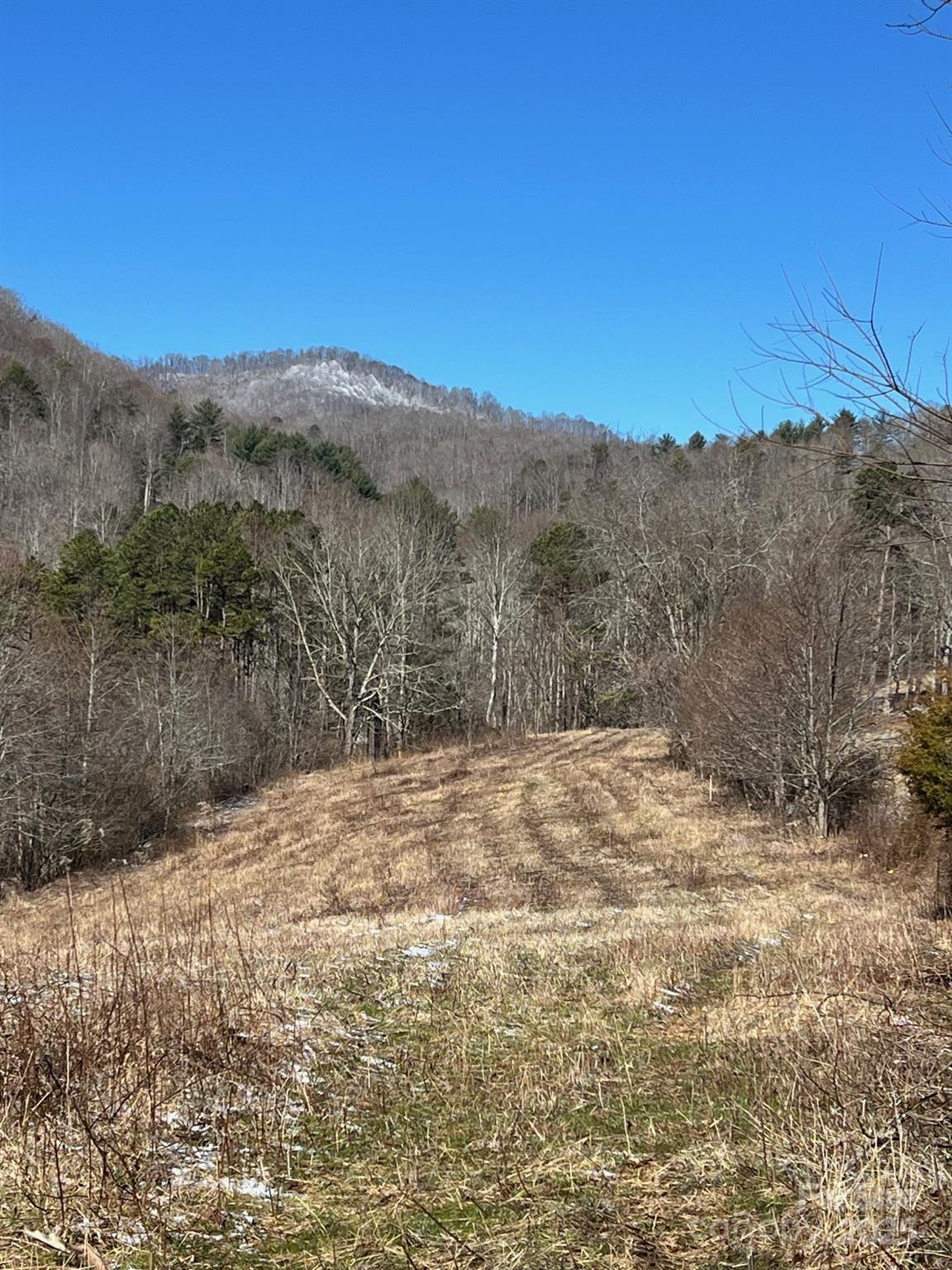 7550 Meadows Town Road Marshall, NC 28753 - Photo 10 of 31 Gallery Image 10