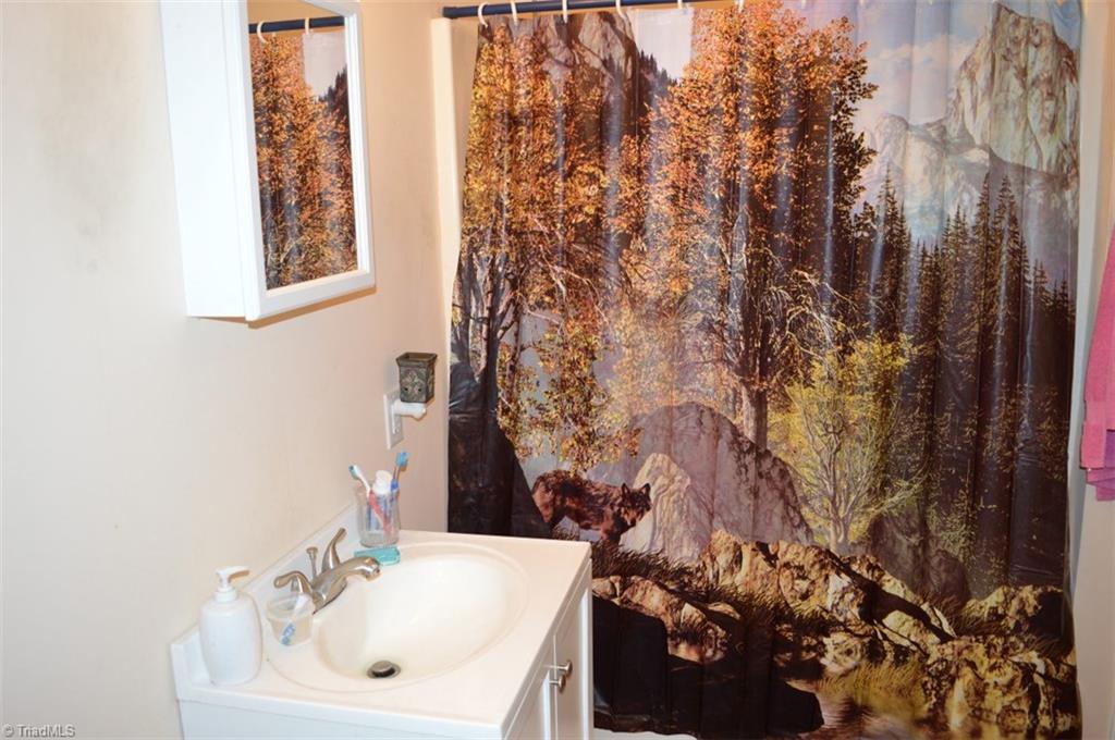 2317 Highway 770 Sandy Ridge, NC 27046 - Photo 14 of 29 Gallery Image 14