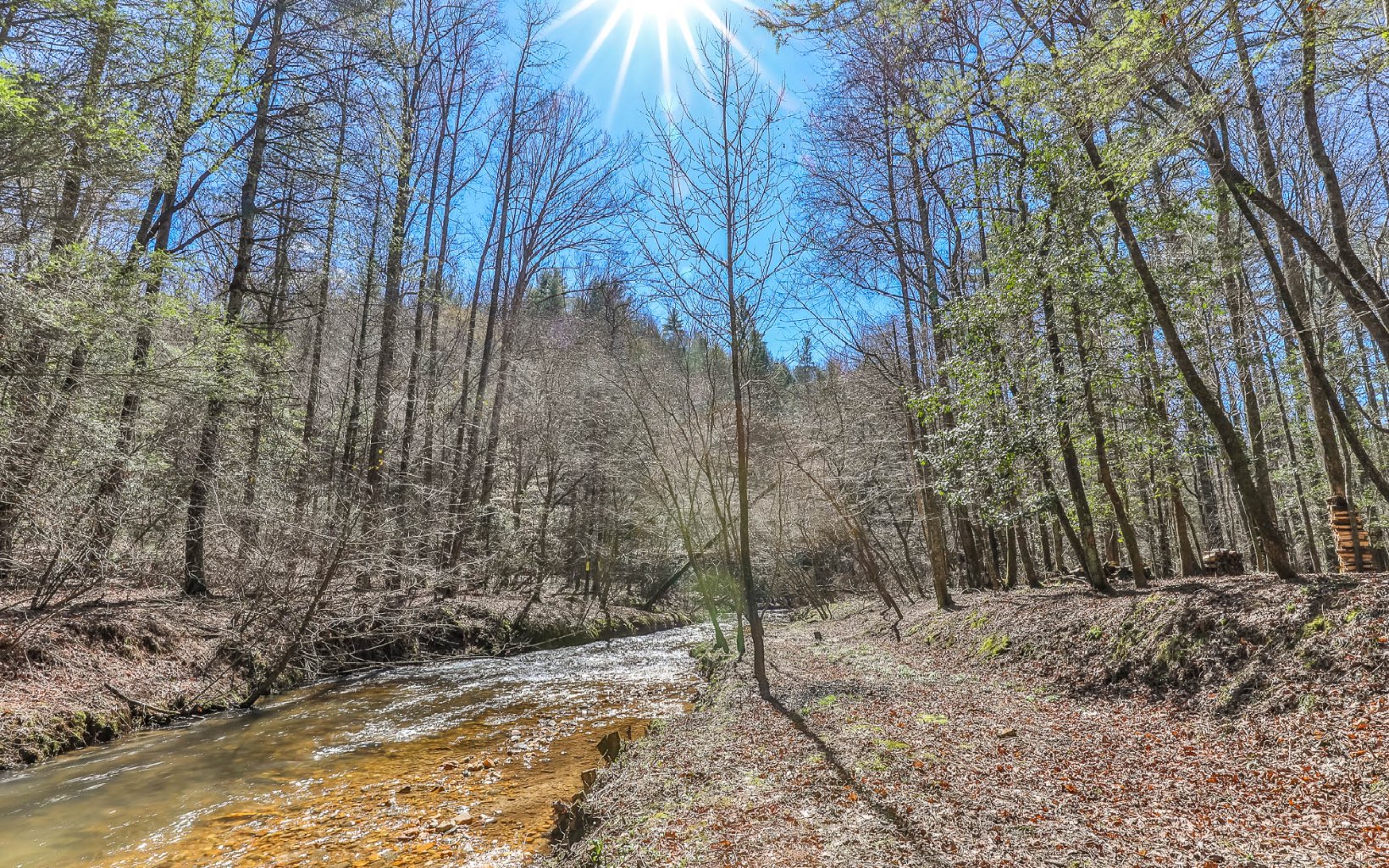 627 Walker Ridge Ellijay, GA 30540 - Photo 3 of 57 Additional View